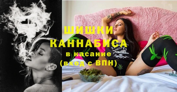винт Бронницы